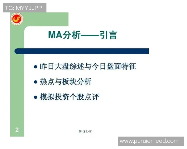 重庆网球队在全国锦标赛中的技术表现分析与点评探讨