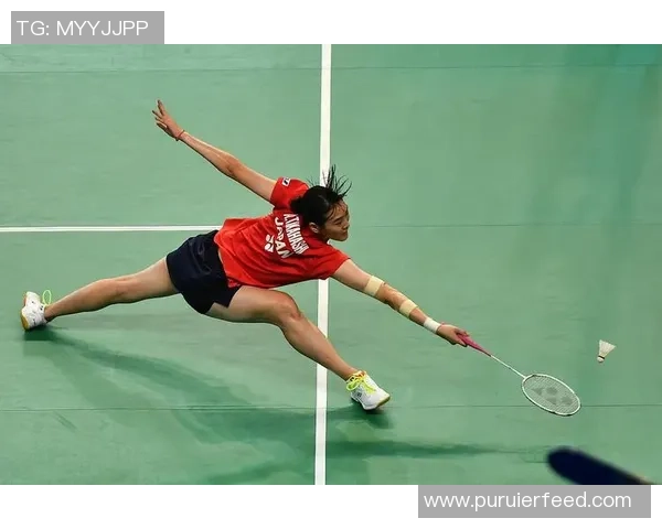 南京羽毛球队以75分稳居精英赛积分榜首位展现强劲实力